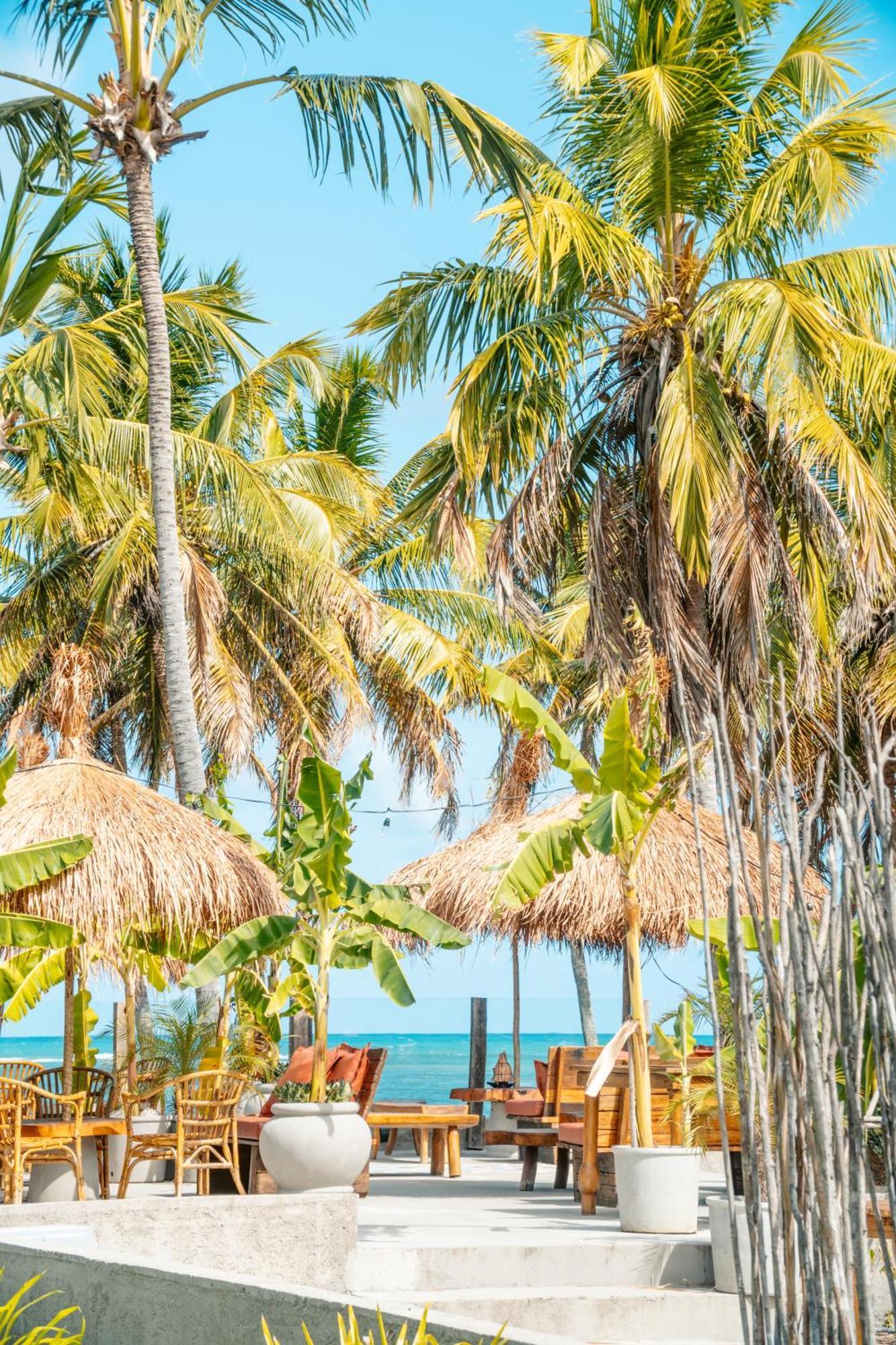 Zai Patacho Hotell Pôrto de Pedras Exteriör bild